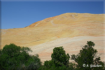 Yellow Rock